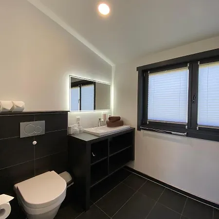 Haake Бад-Цвишенан